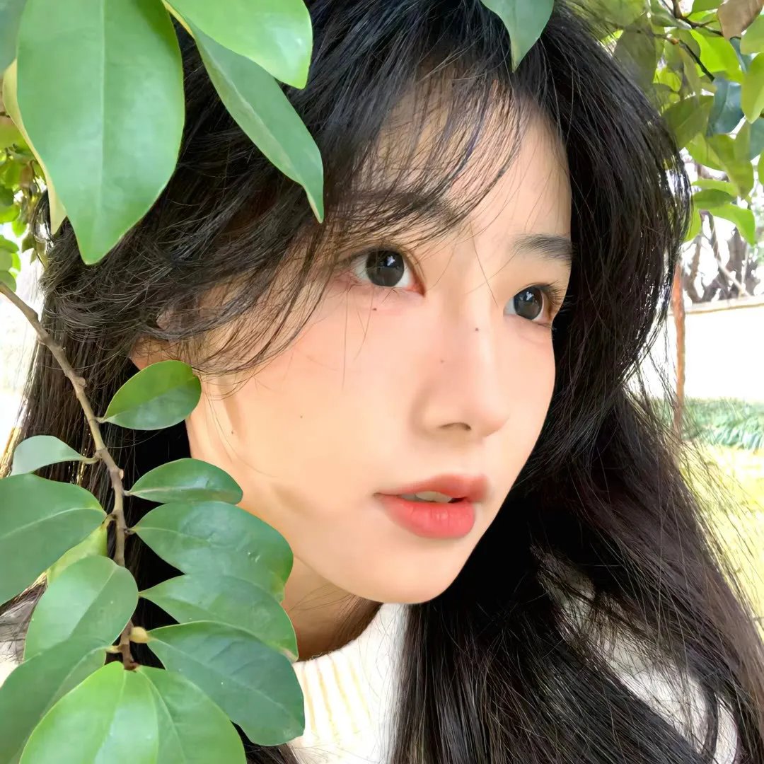 猫样少女